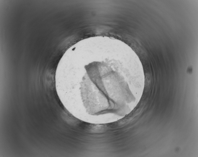 X0000116650527201001251159