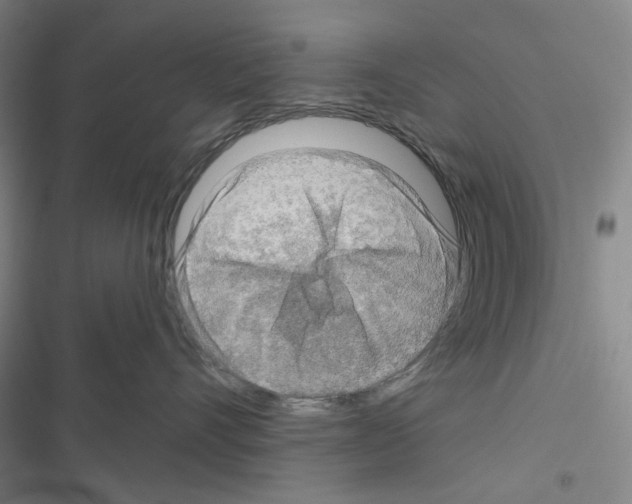 X0000116650528201001251159