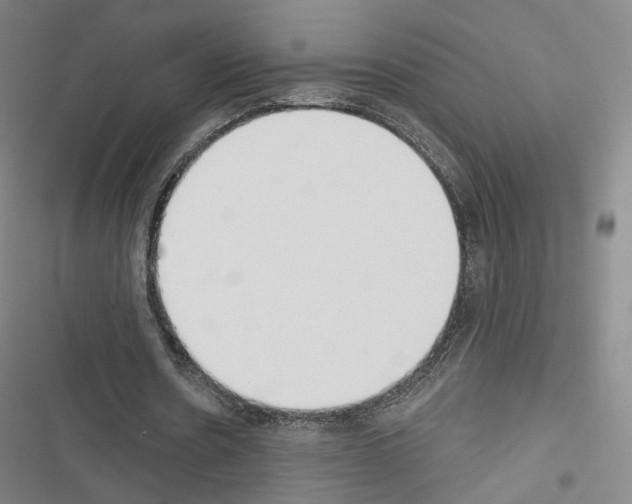 X0000116650530201001251159