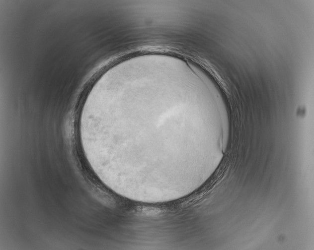 X0000116650531201001251159