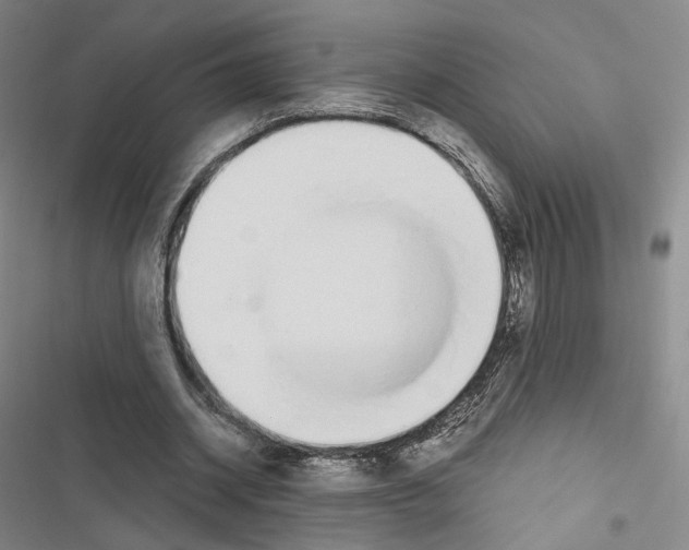 X0000116650534201001251159