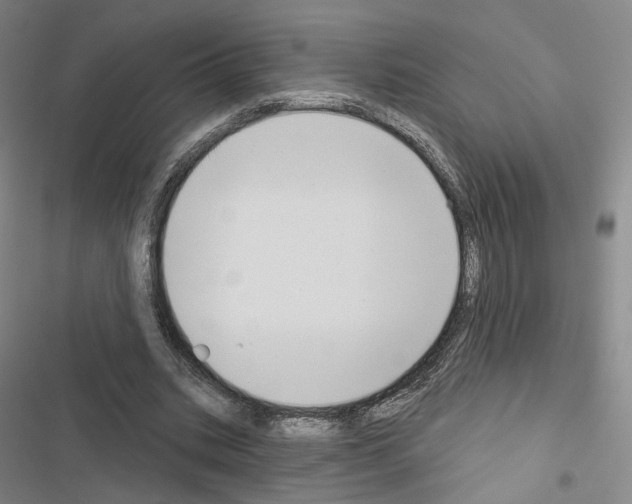X0000116650535201001251159