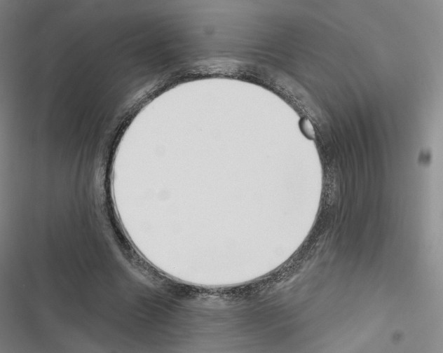 X0000116650538201001251159