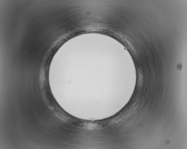X0000116650539201001251159