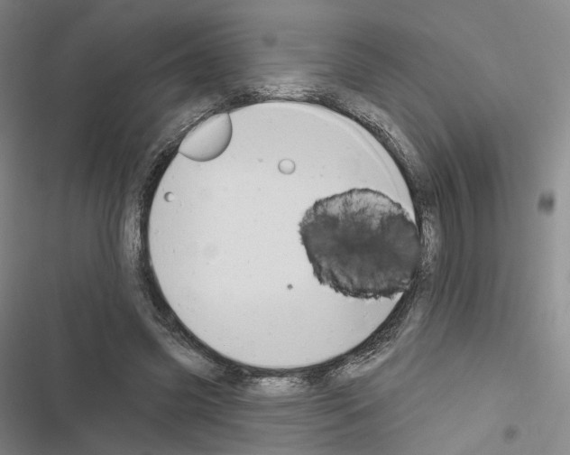 X0000116650541201001251159