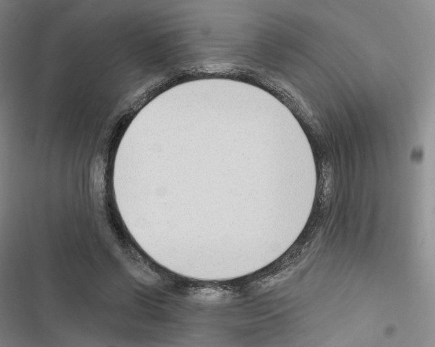 X0000116650542201001251159