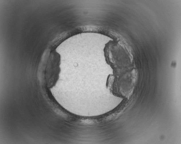 X0000116650545201001251159