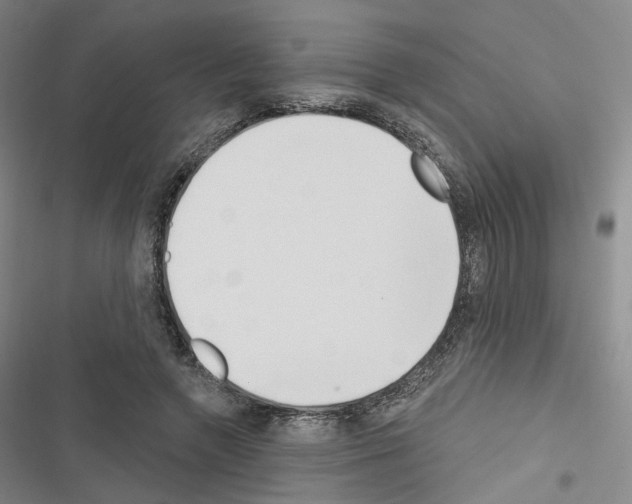 X0000116650546201001251159