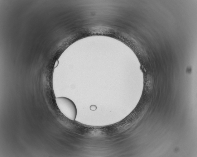 X0000116650547201001251159