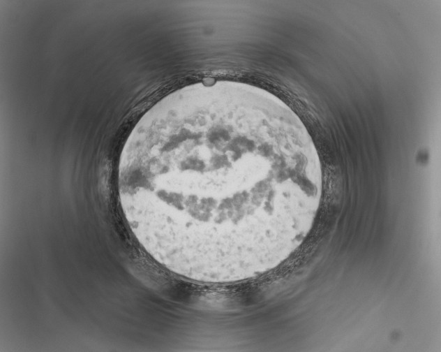X0000116650550201001251159