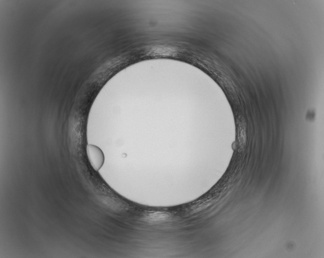 X0000116650551201001251159
