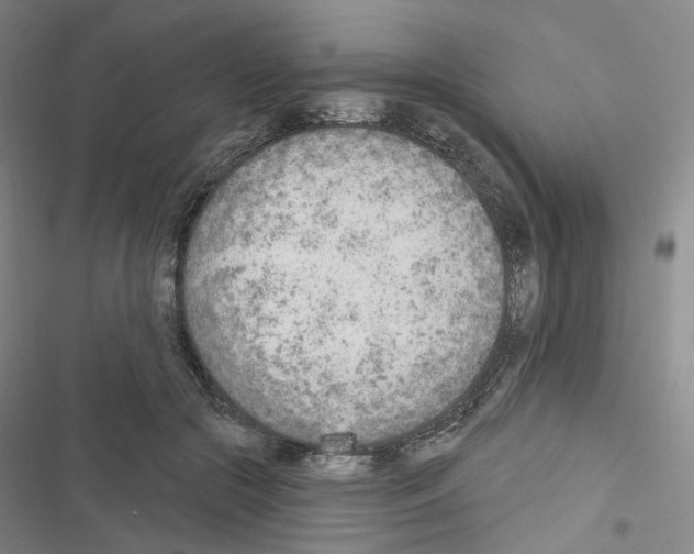 X0000116650553201001251159