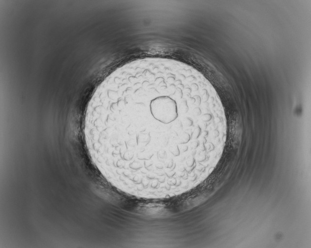 X0000116650554201001251159