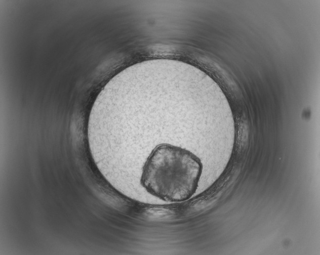 X0000116650557201001251159