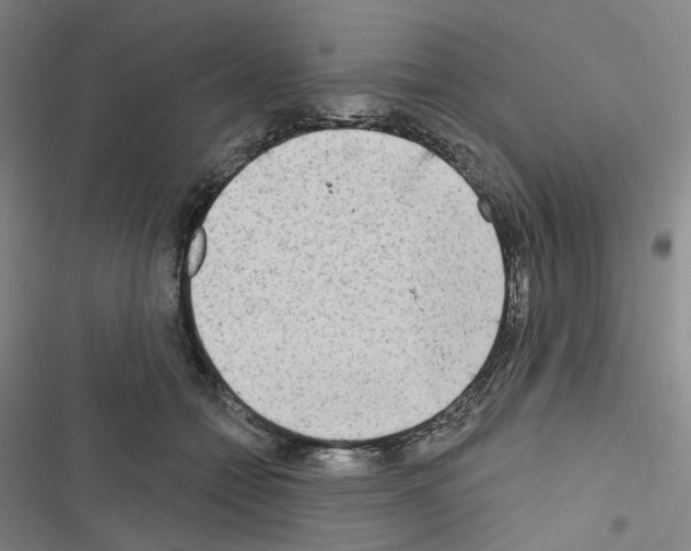 X0000116650558201001251159