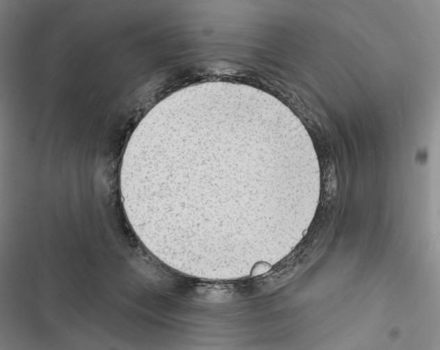 X0000116650559201001251159