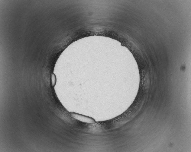 X0000116650562201001251159