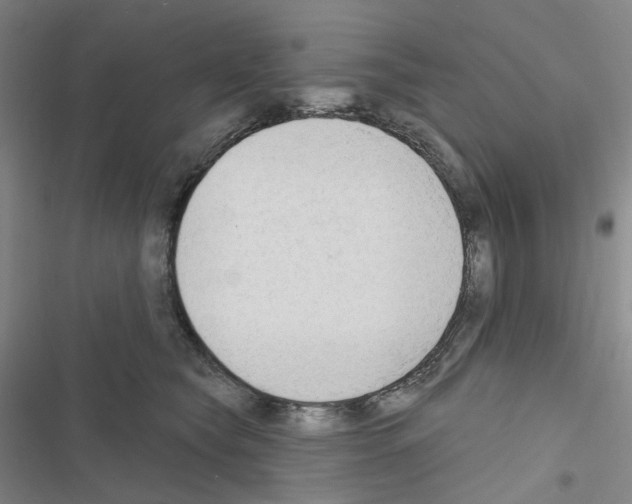 X0000116650565201001251159