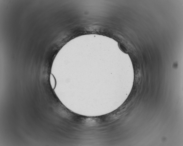 X0000116650566201001251159