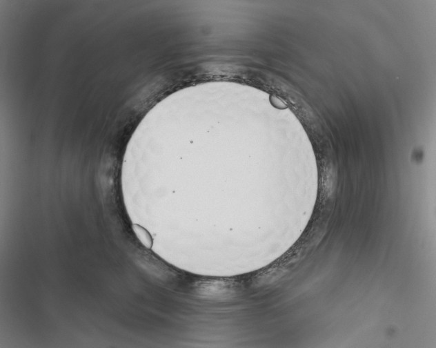 X0000116650567201001251159