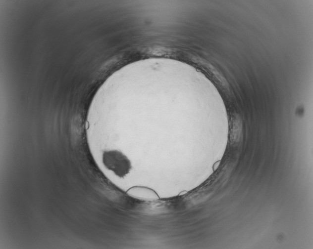 X0000116650569201001251159