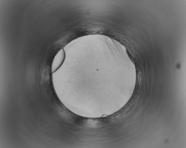 X0000116650570201001251159