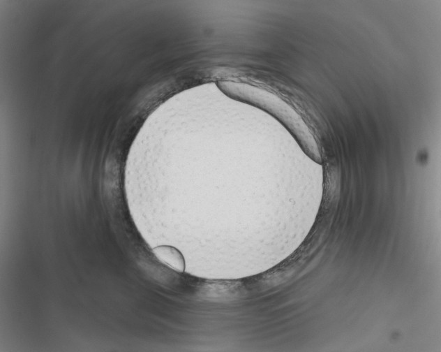X0000116650571201001251159