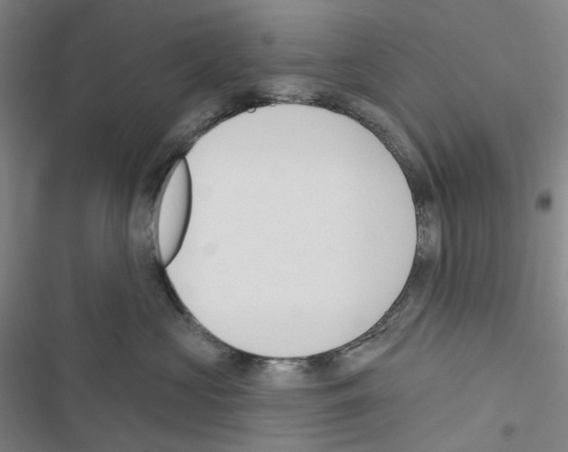 X0000116650573201001251159