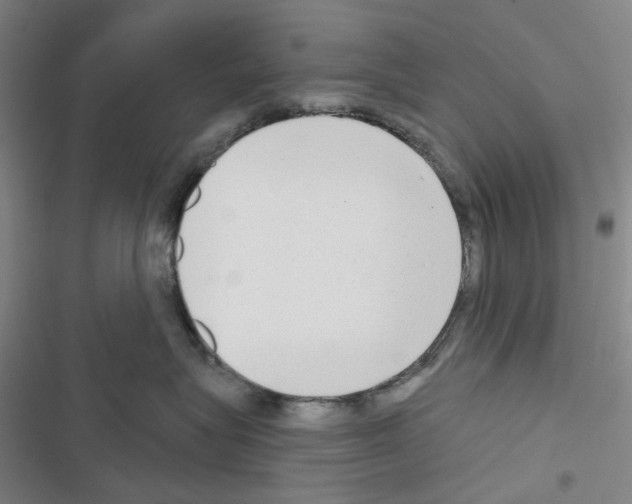 X0000116650575201001251159