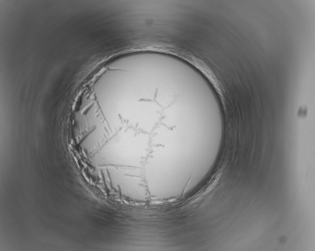 X0000116650577201001251159