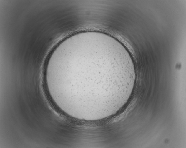 X0000116650578201001251159