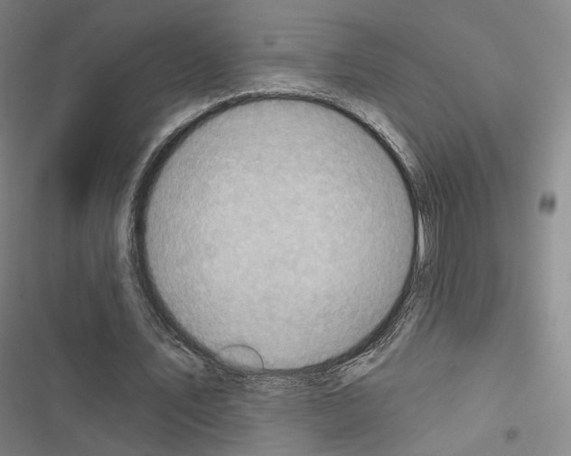 X0000116650579201001251159