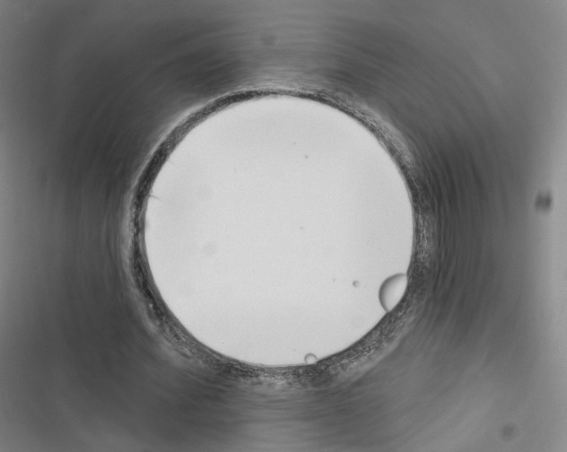 X0000116650580201001251159