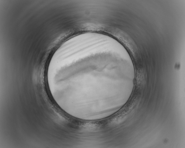 X0000116650581201001251159