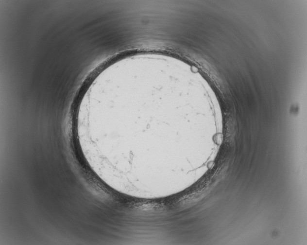 X0000116650584201001251159