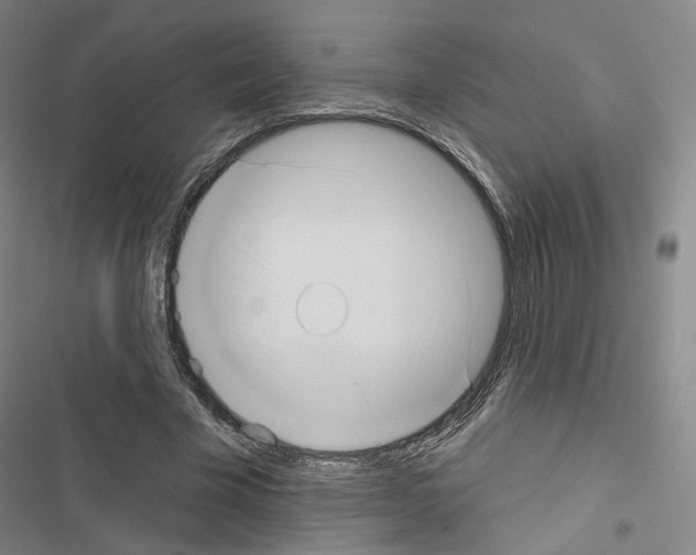X0000116650585201001251158