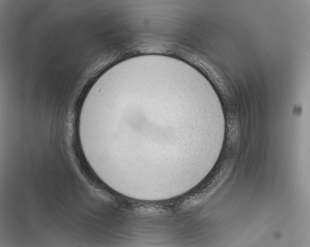 X0000116650586201001251158