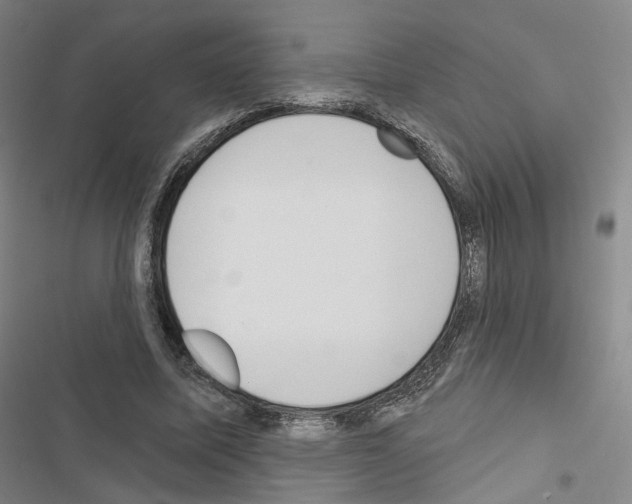 X0000116650587201001251158