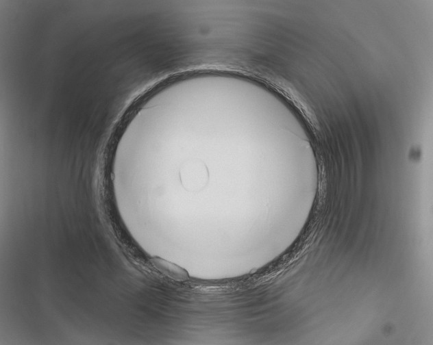 X0000116650588201001251158