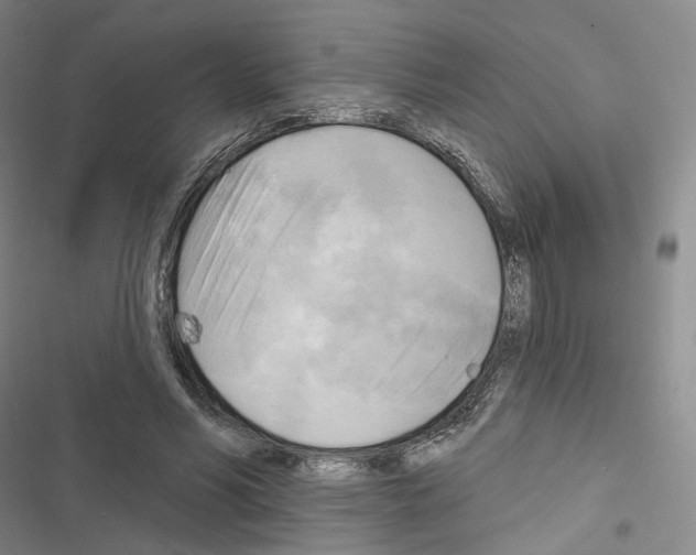 X0000116650590201001251158