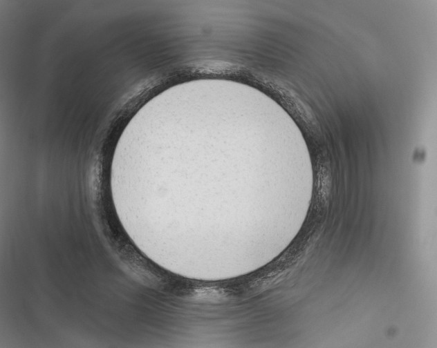 X0000116650591201001251158