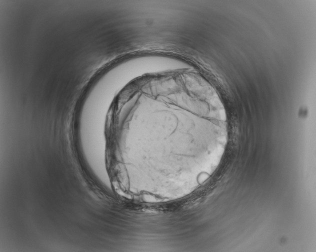 X0000116650592201001251158
