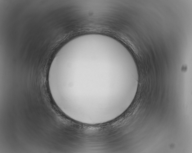 X0000116650593201001251158