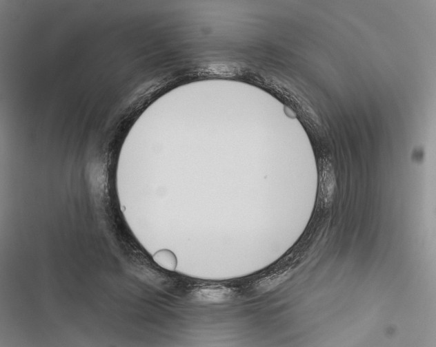 X0000116650595201001251158
