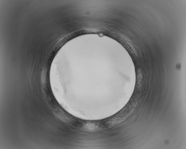 X0000116650596201001251158