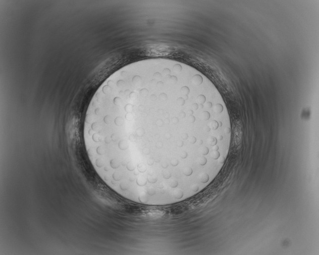 X0000116650598201001251158