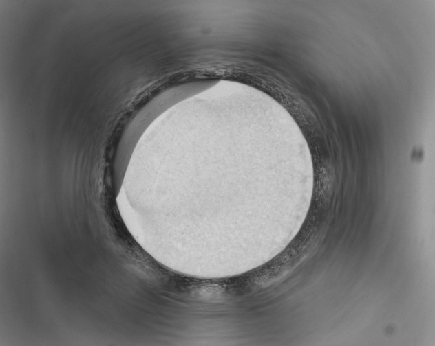 X0000116650600201001251158