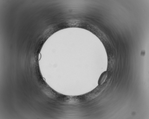 X0000116650601201001251158