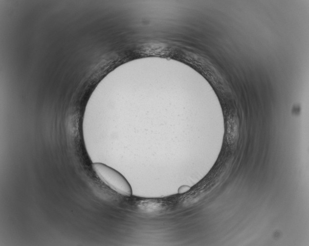 X0000116650602201001251158