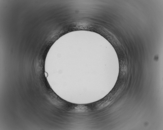 X0000116650603201001251158